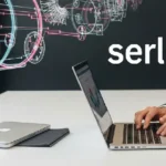 Serlig Explained: The Smart Concept Changing How People Think and Decide